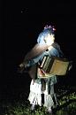 dehors la nuit 025 * 2592 x 3872 * (4.04MB)